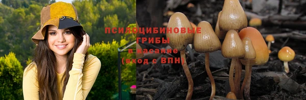 гашик Волоколамск